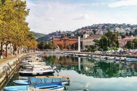 Private tours and transfer from Rijeka 