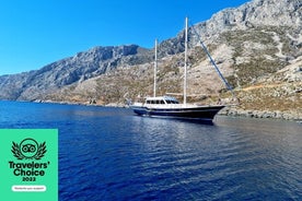 Mykonos Sail Cruise to Delos&Rhenia, BBQ&Drinks, optional Delos Tour & Transfer