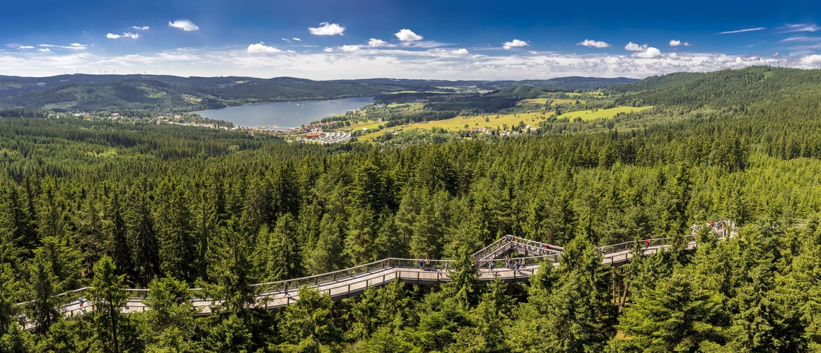 Treetop Walkway in Lipno Forest with views of Lipno Lake, a popular summer spot in Czechia in July..jpg