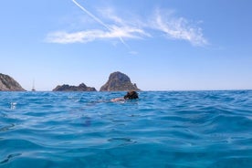 イビサ双胴船クルーズ エス ベドラ 朝または日没