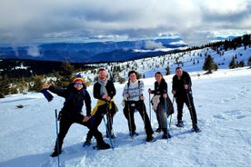 Snowshoeing Fun Tour fra Cluj Napoca