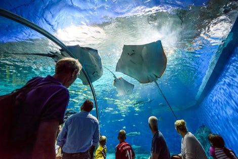 Photo of  Under water glass tunnel in Blue Planet National Aquarium Denmark, Copenhagen, Denmark.