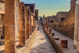 Tour a las excavaciones de Pompeya y cata de vinos con almuerzo desde Positano