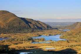 16-paikkainen minibussi Ring of Kerry Highlights Private Tour Corkista