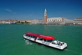 Tour Venezia e Isole della Laguna con audioguide (Hop-on Hop-off 24h)