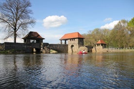 Tour de ville en bateau à moteur