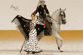 Torremolinos: Spanish horse show and Flamenco option with dinner