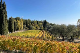 Nice: Heilsdags vínferð til Côtes de Provence