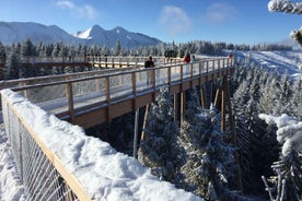 Krakow: Slovakia Treetop Walk & Zakopane in Tatra Mountains