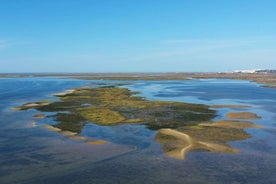 Olhão: Ria Formosa þjóðgarðurinn, bátasigling