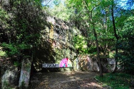 Recorrido por la ciudad de Tirana y la montaña Dajti con recogida