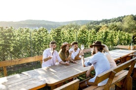 Stancija Collis: un tour avventuroso in cantina a Rovigno