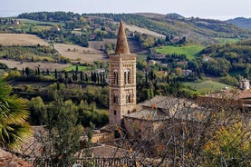 Private walking tour of Urbino with a local guide