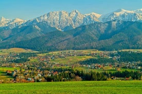 Tour giornaliero con partenza da Cracovia per Zakopane e monti Tatra