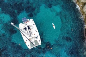 Visite privée : croisière d'une journée en catamaran à Ibiza et Formentera