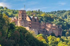 Touristic highlights of Heidelberg on a Private half day tour with a local