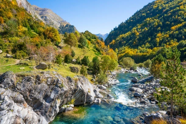 Pyrenees.jpg