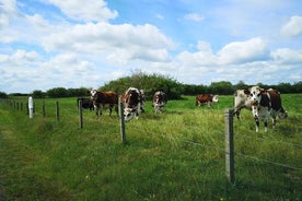 Excursion dans les champs de bataille de Normandie - sites américains