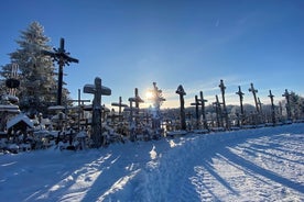 Ausflug zum Berg der Kreuze und zu einem bezaubernden Jelgava ab Riga