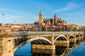 3 Hours Private Guided Walking Tour in Salamanca