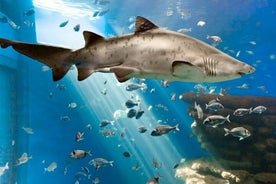 Entrée à l'Aquarium de Palma