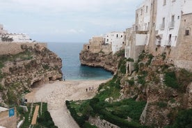 Transfert privé d'Ostuni à l'aéroport de Bari (BRI)