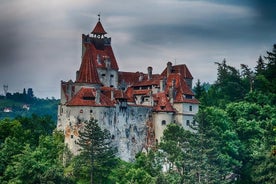 Excursion d'une journée au château de Dracula, au château de Peles et au brasov médiéval