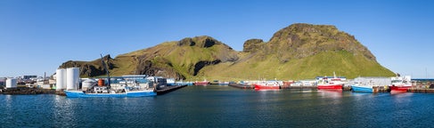 Visites culturelles sur l'île d'Heimaey, en Islande