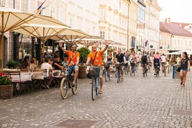 Ljubljana Cruiser Fietstocht