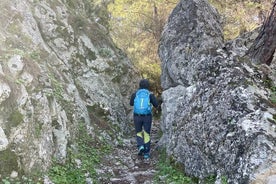 Hiking to the seven springs between olive groves and vegetation from Archangelos