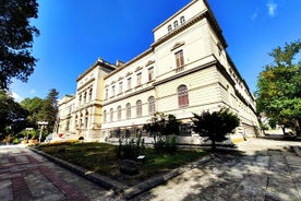 Eintrittskarte für das archäologische Museum von Varna