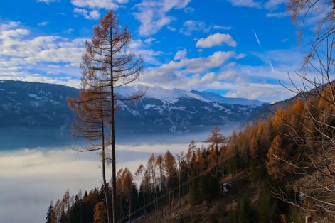 PHOTO OF VIEW OF Lienz covered by fog, sun shines on the fog, with trees in the foreground. Lienzer Dolomites.