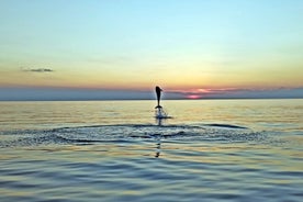 ロヴィニでドリンクを飲みながら夕日のイルカウォッチング