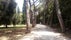 Park forest Zlatni Rt, Grad Rovinj, Istria County, Croatia