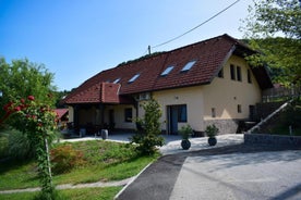 Guest House Zevnik