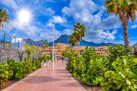 photo of aerial view of the beach and lagoon of Los Cristianos resort on Tenerife, Canary Islands, Spain.