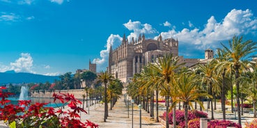 Photo of aerial view of La Seu, the gothic medieval cathedral of Palma de Mallorca in Spain.