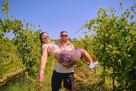 Excursion d'une journée à Pise, Sienne et San Gimignano avec déjeuner et accord mets et vins