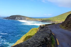 Dingle til Shannon flugvallar Einkabílstjóri