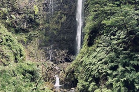 Madeira: PR 9 - Levada do Caldeirão Verde Hike Transfer