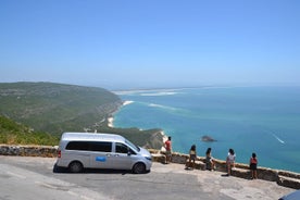 Arrabida og Sesimbra dagsferð fyrir smáhópa frá Lissabon með vínsmökkun