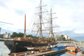 Dublin, på en dag, till fots. Historia, kultur & arkitektur!