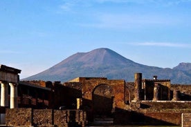 Pompeii Entrance Ticket & Walking Tour with an Archaeologist