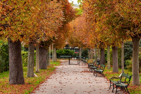 Photo of Autumn foliage in Volksgarten park, Vienna, Austria.