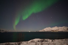 AURORA Northern Lights 8 HOURS Relaxed Moments (5 people)+photos