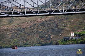 1-stündige Rabelo-Bootsfahrt in Pinhão