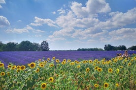 Arles Small group tour: Privat dagstur till Luberon Villages