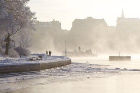 Stockholm Winter Boat Tour with Guide