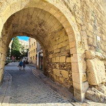 Portal del Roser