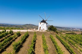 Vigneron pour une journée au départ de Lisbonne